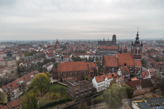 gif gdansk